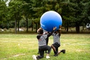 Kin ball sport